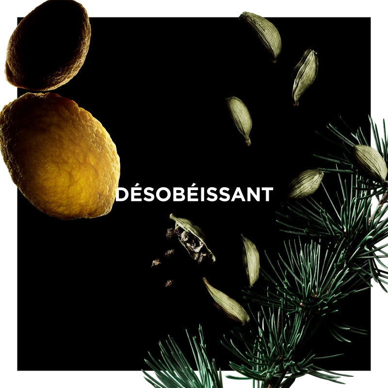 Desobeissant Eau De Parfum