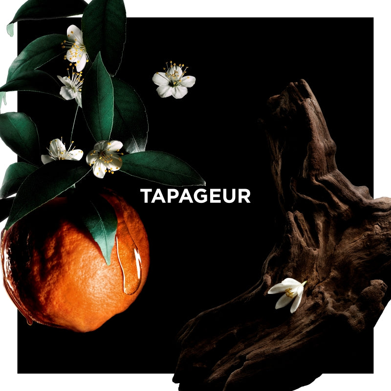 Tapageur 香氛